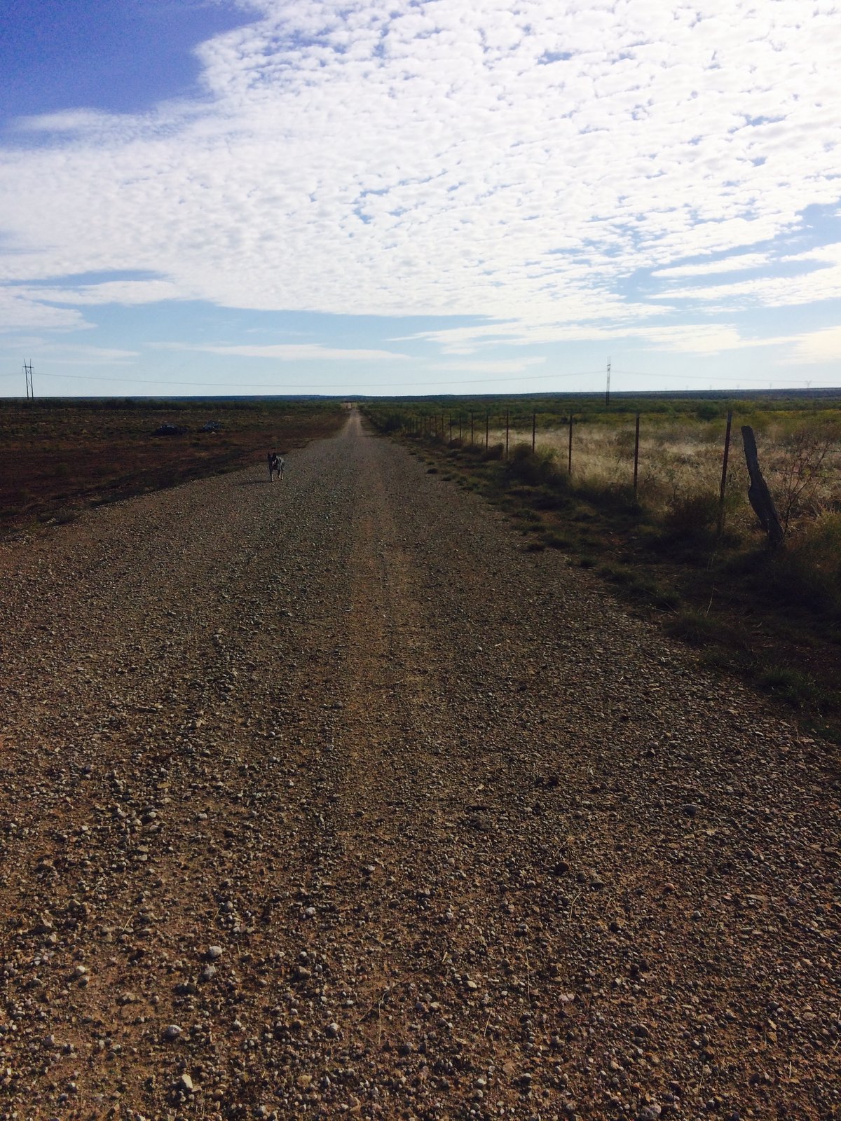 Rural land near Jacksboro, Texas
